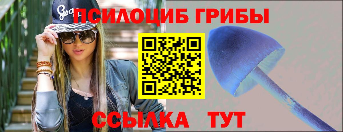 Галлюциногенные грибы мухоморы  Вход с VPN  сколько стоит  Шахты 